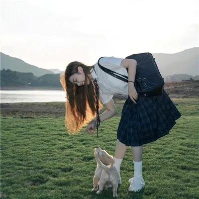 七星幻蝶墓