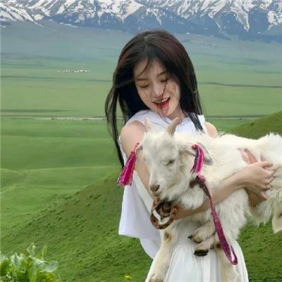 骚狐狸