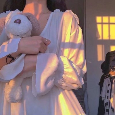 做一只鸟真不容易